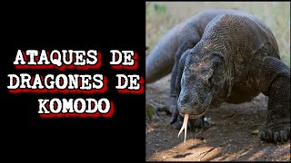 Ataques de dragones de Komodo