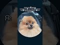 #exmo #ton #toncoin #дуров #telegram #біткоїн #bitcoin