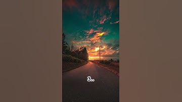 Which Path Would You Choose To Walk Alone?💕 #aesthetic #vibes #calm #road #newaesthetic #path #walk