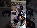 Que nota le das a MOONDROP de Fnaf?