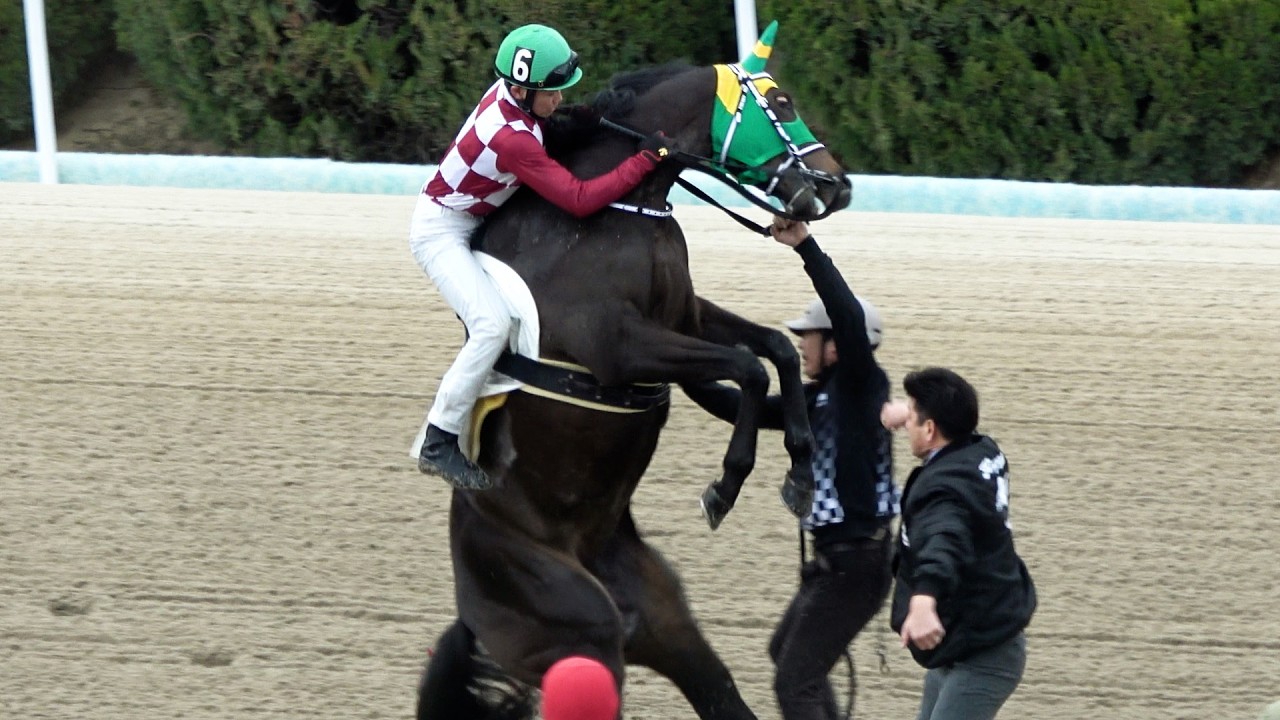 絶対に乗せたくない【馬】VS絶対乗ってやる【騎手】対決は⁉ 現地映像