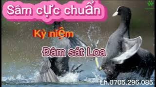 Tiếng Sâm cầm chuẩn.2022-2023