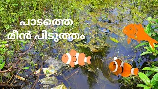 ഒന്ന് മീൻ പിടിച്ചാലോ |Fishing|village fishing ideas| shorts| fish hunting| fishing videos| malayalam