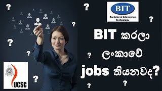 Have job opportunities after BIT Degree | Tecpack Plus