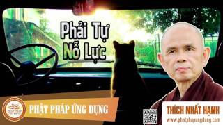 Phải Tự Nổ Lực - Thầy Thích Nhất Hạnh thuyết giảng