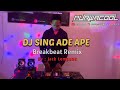 DJ Sing Ade Ape Breakbeat Remix Viral FYP Tiktok