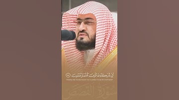 ويوم يناديهم فيقول أين شركائي الذين كنتم تزعمون | تلاوة تدبرية هادئه للشيخ بندر بليلة