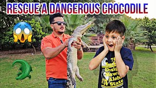 Farm pr Khatarnak Crocodile Agaya 😱 | Rescue a Dangerous Crocodile with Little Kid 🐊  |