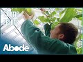 Gardening TV Show | Exotic Fruits of Heligan | the Lost Gardens of Heligan | Abode