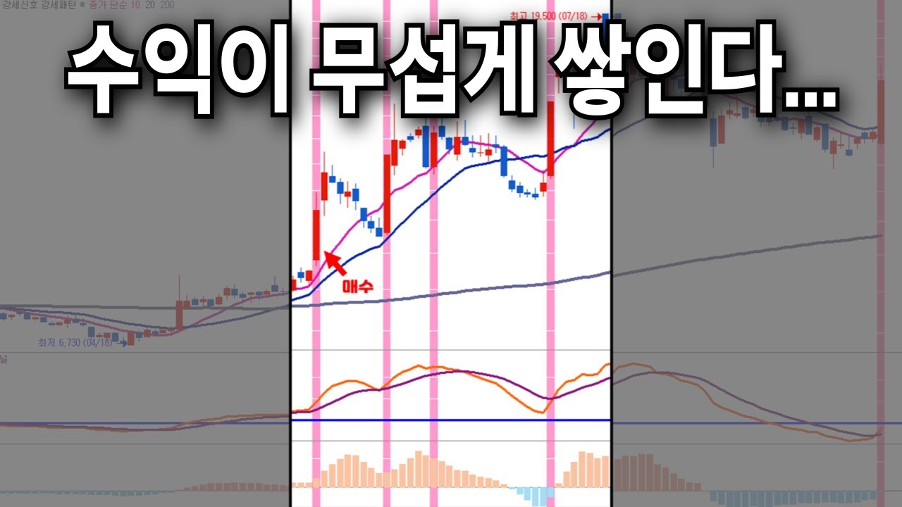 아무도 알려주지 않았던 MACD의 핵심, 이럴 때 매수합니다.