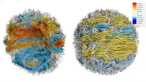 Stellar Magnetism Simulation