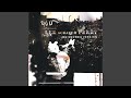 Miniature de la vidéo de la chanson Like The Way You Should (Digital Mystikz Remix)