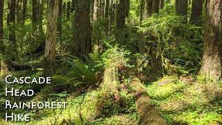Cascade Head Rainforest Hike Guide | Lincoln City, Oregon