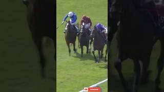 Kameko Wins Qipco 2000 Guineas Stakes Group 1 Cl1