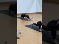 Kelas Yoga Selasa Malam #yoga #exercise #flow #balance #lifestyle #balance #yogaexercise #movement