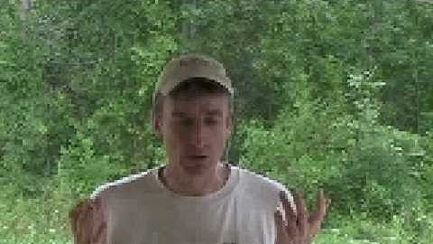 One week Timber Frame course - Cutting a Tenon