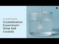 Crystallization experiment  grow salt crystals  diy science project