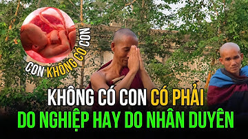 “Chưa có con – Nghiệp hay Nhân Duyên? Lời khai thị từ Thầy Minh Tuệ #dauchandauda 