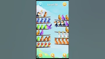 Bird Sort Puzzle LV 38