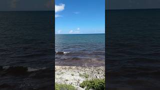 Обосранное Карибское море - не сезон! 🥴 #Тулум