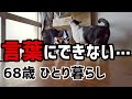 【60代一人暮らし】68歳、言葉にできない…【シニアVlog】