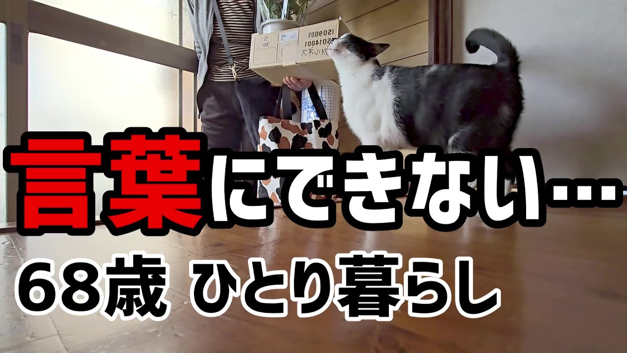 【60代一人暮らし】68歳、言葉にできない…【シニアVlog】