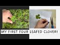 WHAT TO DO WITH A 4 LEAF CLOVER