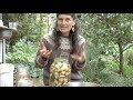 Sunchokes – from garden to gut (permaculture living non-monetised)