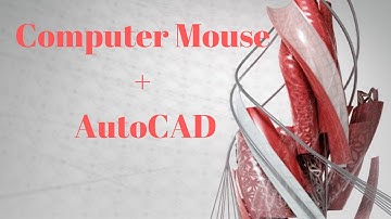 How to use Mouse in AutoCAD
