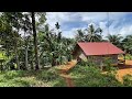 BIKIN BETAH !! EKSPLOR SUASANA PEDESAAN TEBING,KANING, BENGKULU UTARA