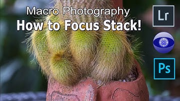 Macro Photography: How to Focus Stack your images!