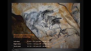 Chauvet Cave: Masterworks of the Paleolithic screenshot 4