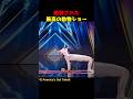 ゴールデンブザーを獲得した最高の動物ショー
