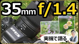 ✨明るくキレイなボケ感✨Nikon 単焦点レンズ AF-S 35mm 大人気 71FRd732KJL._AC_UL210_SR210,