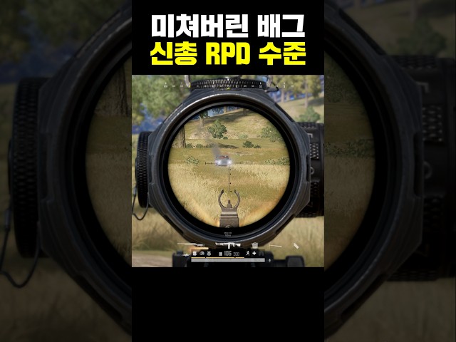 배그 신총 RPD로 에란겔 대학살