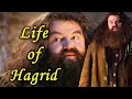 Life of Hagrid | Origin Explained in Hindi