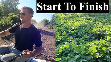Planting Soybean Food Plots - Broadcasting Great Results!