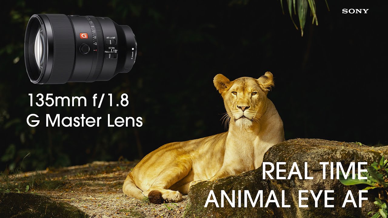 Sony 135mm G Master Lens + Real Time Animal Eye AF! YouTube