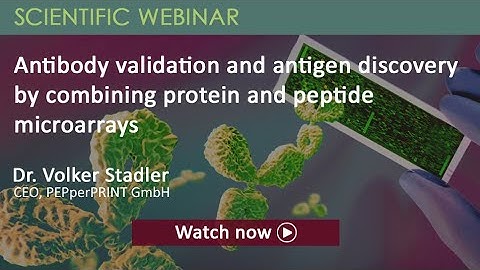 Antibody Validation and Antigen Discovery by Combining Protein and Peptide Microarrays