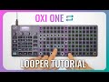 Oxi one tutorial  upgraded looper in fw 40