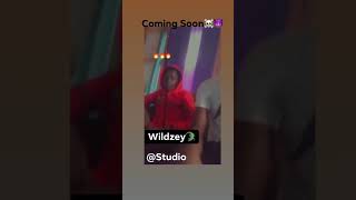 Wildzey Studio