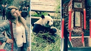 Baby Panda Selfies ?! | Chengdu 72 Hour Challenge | Chengdu,China