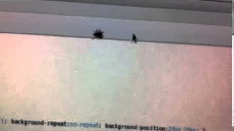 spider chasing cursor