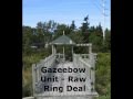 Gazeebow Unit - Raw Ring Deal