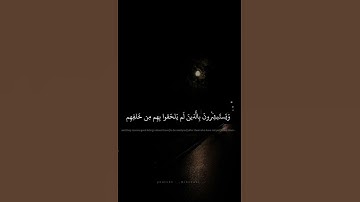 (فرحين بما آتاهم الله من فضله )القارئ : محمد صديق المنشاوي : سورة : آل عمران