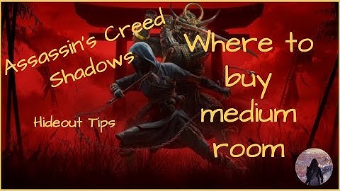Where to Buy the Medium Room  Assassin