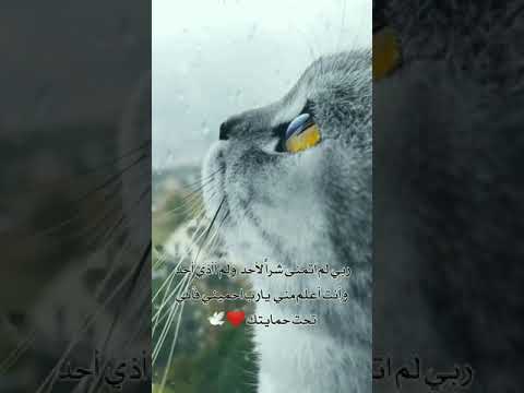 ربي لم اتمنى شرا لاحد
