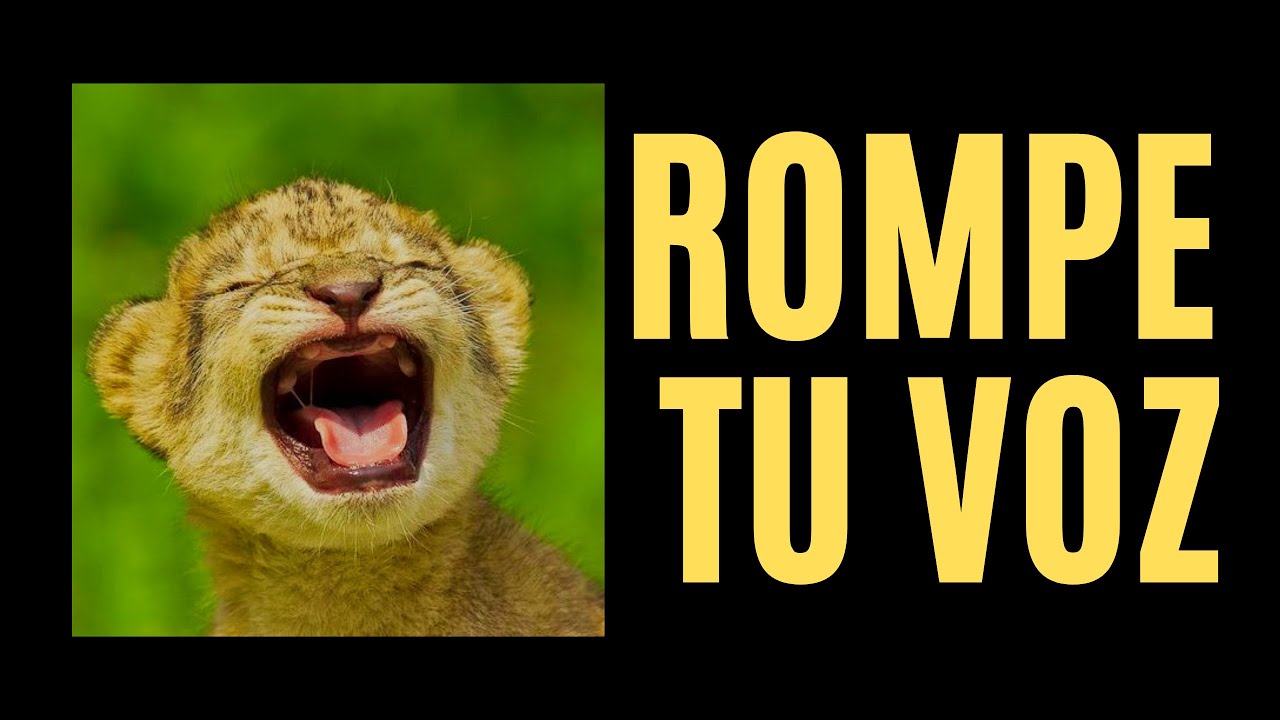 Descubre cómo ROMPER LA VOZ | Distorsión vocal [Sin hacerte DAÑO] 🦁