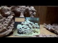 Yellowstone National Park - 2017 - Dinosaur Center of Wyoming