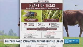 Educational Program for New World Screwworm & Pasture Mealybug Concerns in Brown County Next Week